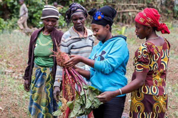 Assoumpata Uwamariya (2R) samples raw beetroot bulbs harvested from a farm in Rubavu district, Western province, Rwanda Oct. 3, 2018. (Reuters/Jean Bizimana)