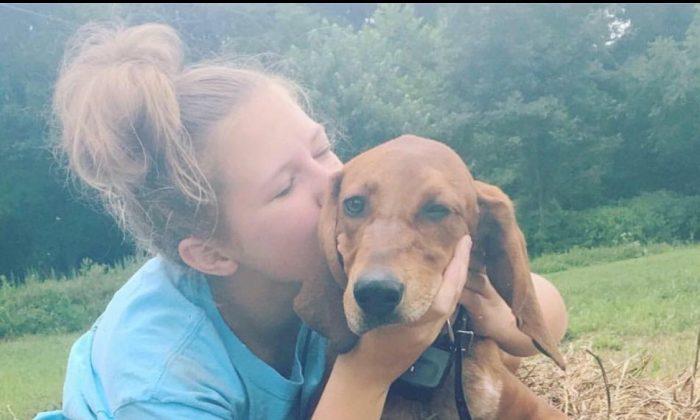 Virginia Child Killed Chasing Her Dog Will Be Buried Together With Pet