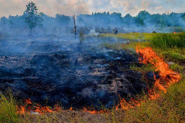 Smoke rises up from a peat-land fire in Pekanbaru, Riau province, on February 1, 2018, one of 73 detected hotspots causing haze on the island of Sumatra, caused by fires set in forest to clear land for palm oil and pulpwood plantations. (Wahyudi/AFP/Getty Images)