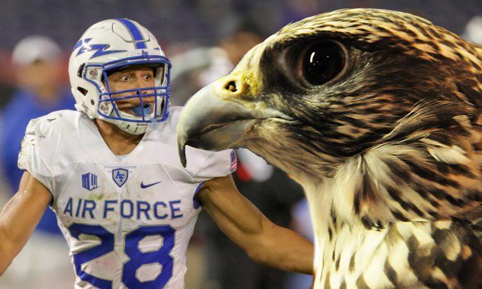 Army Cadets Seriously Injure 22-Year-Old Air Force Live Falcon Mascot in Football Prank