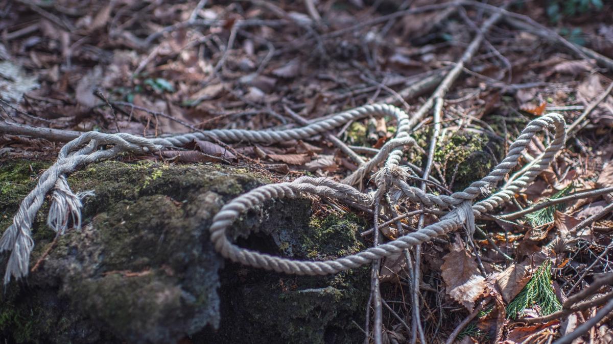 Japan’s Youth Suicides Hit 30-year High: Survey