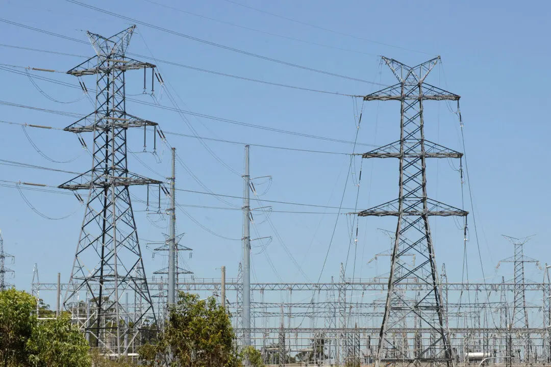 LIVE NOW: House Subcommittee Holds Hearing on Cyber and Physical Threats to US Energy Grid