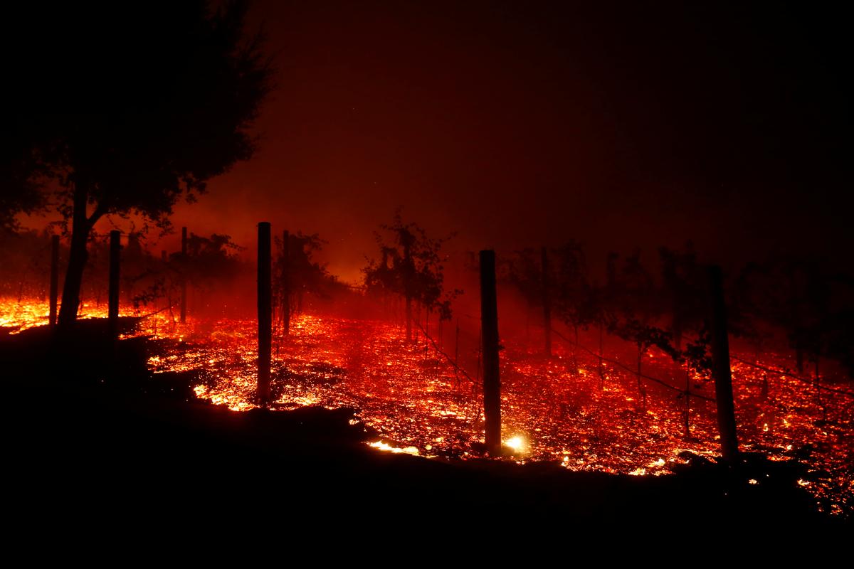 A vineyard burns overnight during a wildfire that destroyed dozens of homes in Thousand Oaks, Calif., U.S. Nov. 9, 2018. (Reuters/Eric Thayer)