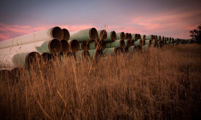 Conservatives Slam Keystone XL Pipeline Injunction