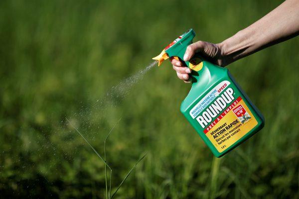 A woman uses a Monsanto's Roundup weedkiller spray without glyphosate in a garden in Ercuis near Paris, France, on May 6, 2018. (Benoit Tessier/Reuters)