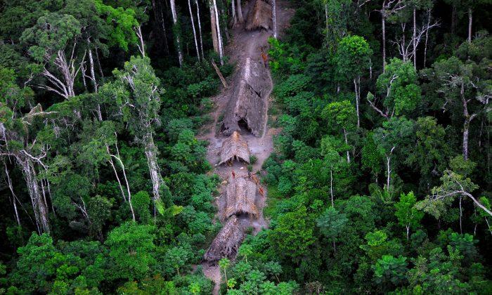 Isolated Tribes Under Threat by Illegal Logging in Brazil