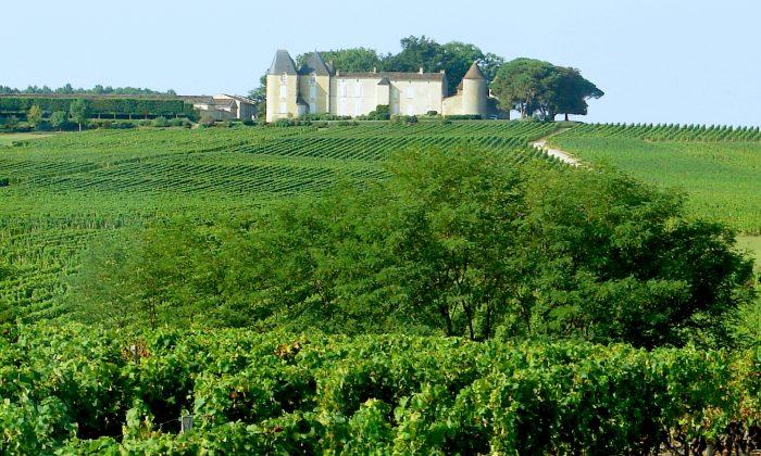 Luxury River Cruise Among France’s Vineyards and Chateaux