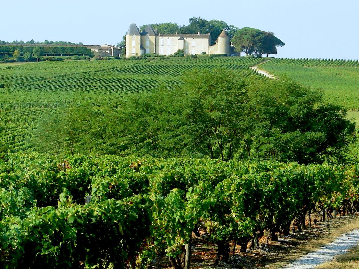 Luxury River Cruise Among France’s Vineyards and Chateaux