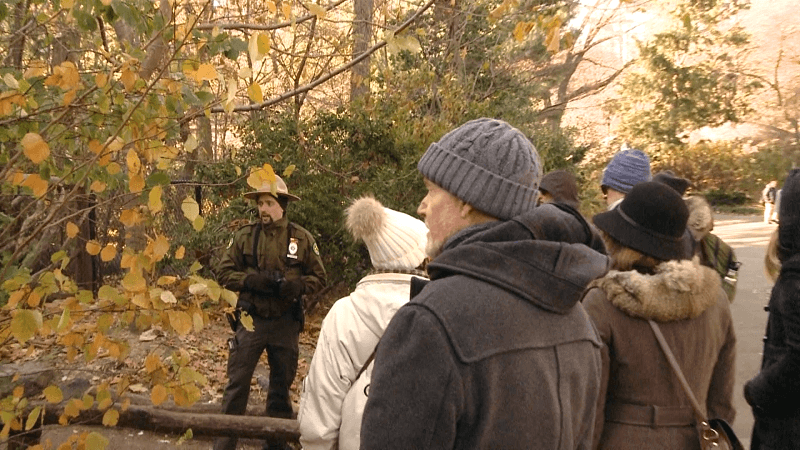 New York City Urban Park Ranger Jonathan Kovacs guiding a tour in Central Park on Nov. 23, 2018. (Brendon Fallon/The Epoch Times)