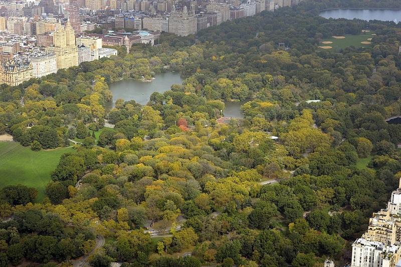 A view of New York City to the north and Central Park from the 75th floor of 432 Park Avenue Oct. 15, 2014. (Timothy A. Clary/AFP/Getty Images)