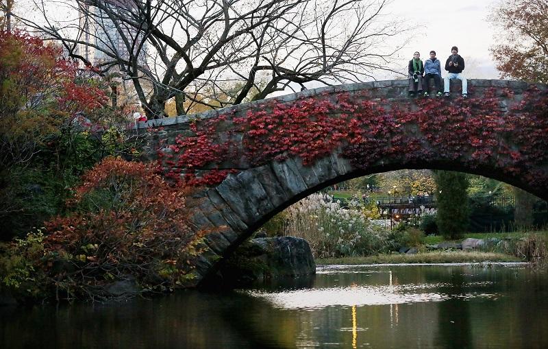 People sit on the Gapstow bridge in Central Park , New York City on Nov. 4, 2012 (Mario Tama/Getty Images)