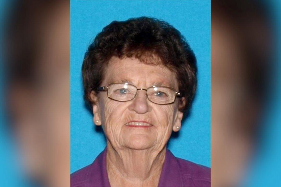 79-Year-Old Woman Fatally Struck by Hit-and-Run Driver Just Before Thanksgiving