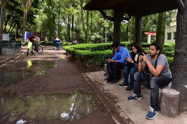 People use their smartphones at a public park in Mexico City in this file photo. (Alfredo Estrella/AFP/Getty Images)