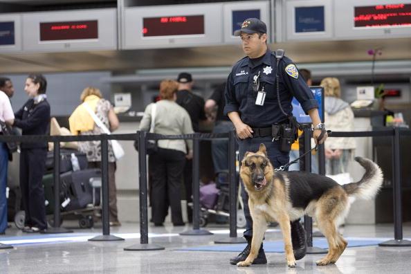 The TSA Is Using Detector Dogs More, Which Is Actually a Good Idea