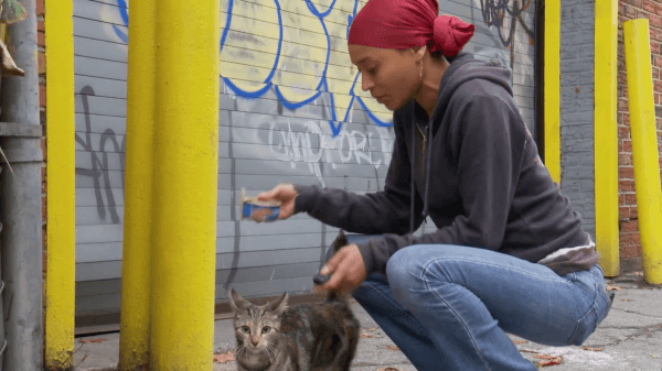 Latonya "Sassee" Walker with an injured feral cat. (Rob Fruchtman and Steve Lawrence)