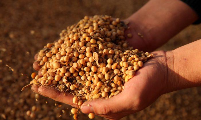 China Grain Traders Wait for Beijing to Lower Tariffs Before Returning to US Market