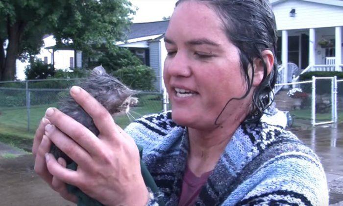 Woman races against time and crawls into storm drain to save drowning kitten