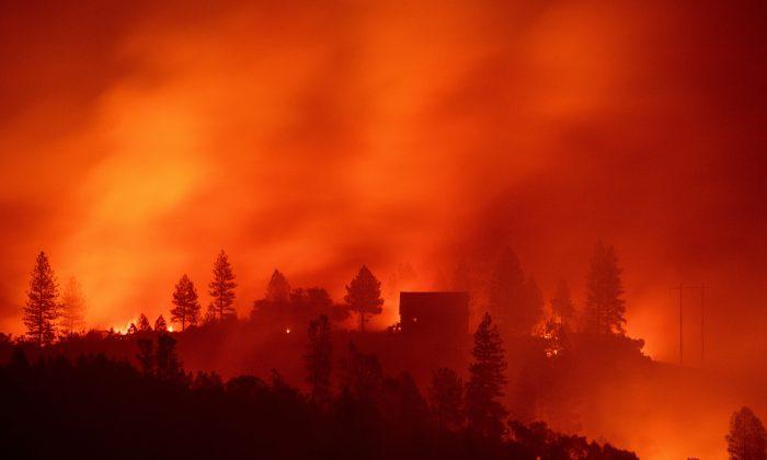 California Takes Steps to Strengthen Wildfire Prevention and Control