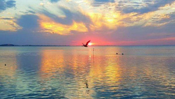 Bird flying over bay at sunset. (Courtesy of South Padre Island Convention & Visitors Bureau)