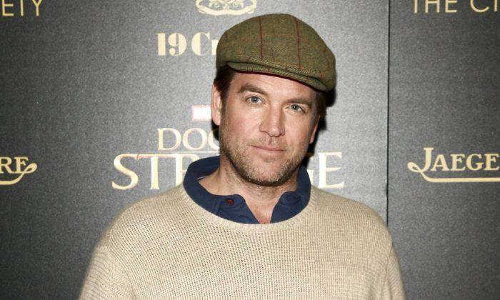 CBS Settled With Dushku Over ‘Bull’ Star’s Sexual Comments