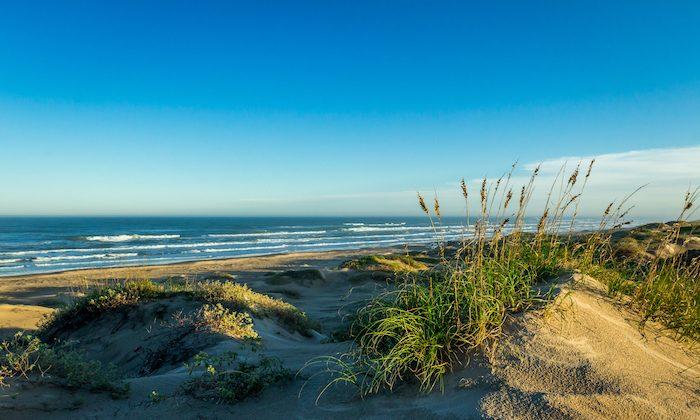 South Padre Island Is for Nature Lovers