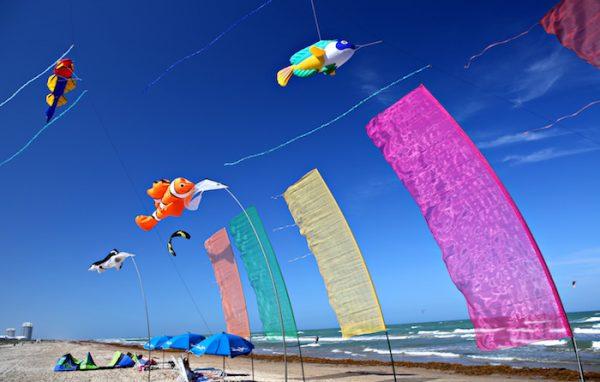 Kites in the wind. (Ron Stern)