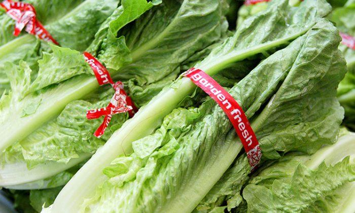Lettuce Products Recalled Over Potential Listeria Contamination