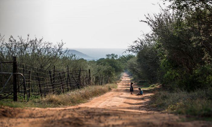 South Africa at Crossroads on Land Reform