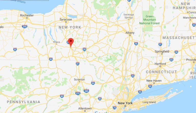 The dogs were found along Interstate 81 near Whitney Point, officials told WGRZ. It's located about 15 miles from Binghampton in Western New York. (Google Maps)
