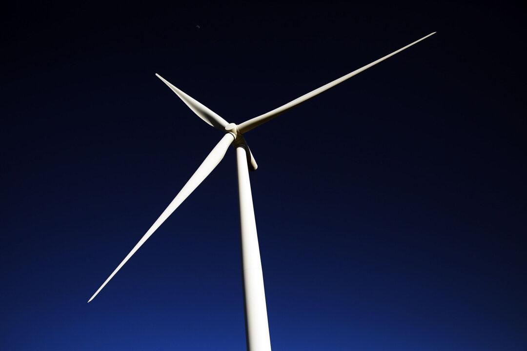 Corporate Watchdog Plans to Target Shady Green Funds