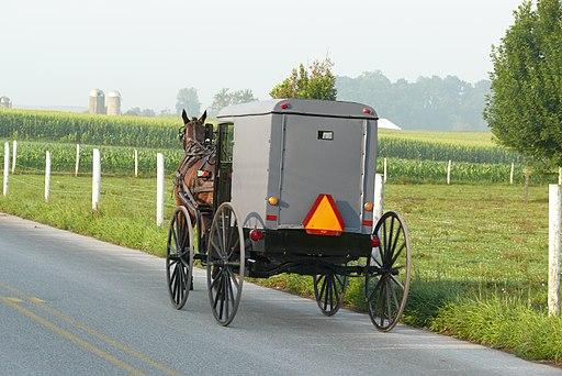 After Deadly Horse-and-Buggy Crash in Minnesota, Victims Identified as Elderly Couple