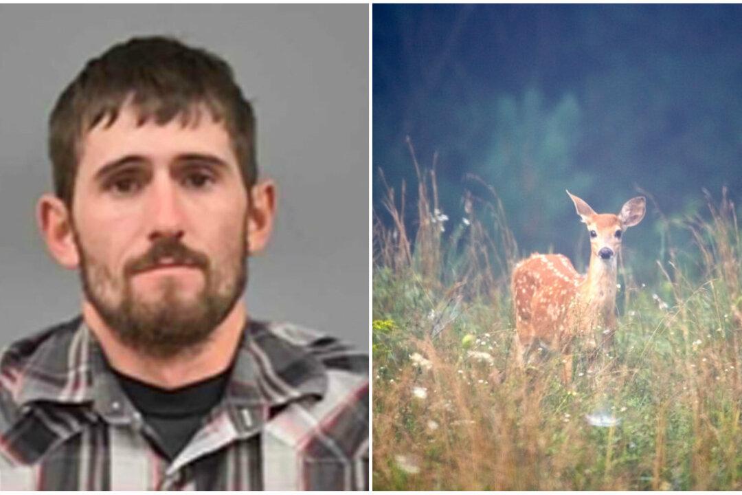Deer Poacher Ordered to Repeatedly Watch ‘Bambi’ in Jail