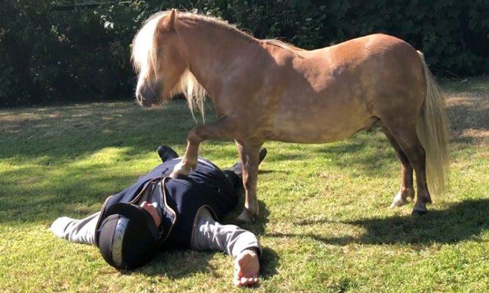 Two talented ponies show off ‘CPR skills’ in cute video