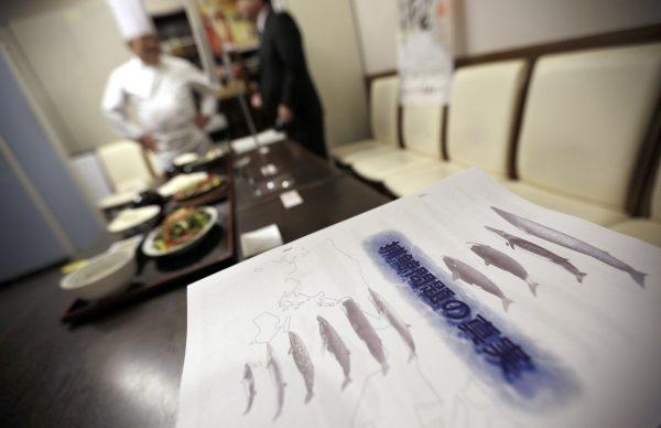 "The Truth of Whaling Problem" are placed next to whale meat dishes on display at a cafeteria of Ministry of International Trade and Industry in Tokyo as it started to serve whale meat. (Eugene Hoshiko/AP)