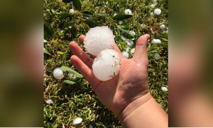 3-Inch Hailstones Hit Australia’s Sydney in ‘White Christmas’ Catastrophe