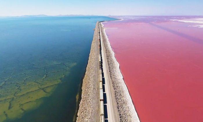 Drone footage of Utah’s Great Salt Lake highlights pretty pink, blue divides