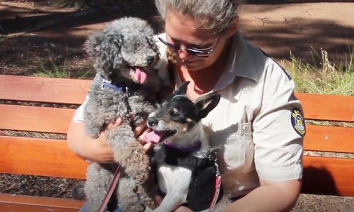 Two sweet, blind dogs find comfort with each other after being adopted