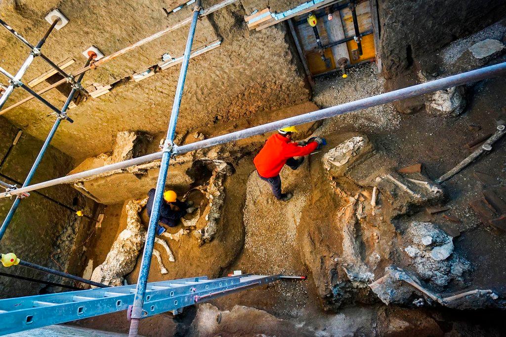 An archaeologist inspects the remains of a horse skeleton in the Pompeii archaeological site, Italy, on Dec. 23, 2018. (Cesare Abbate/ANSA Via AP)