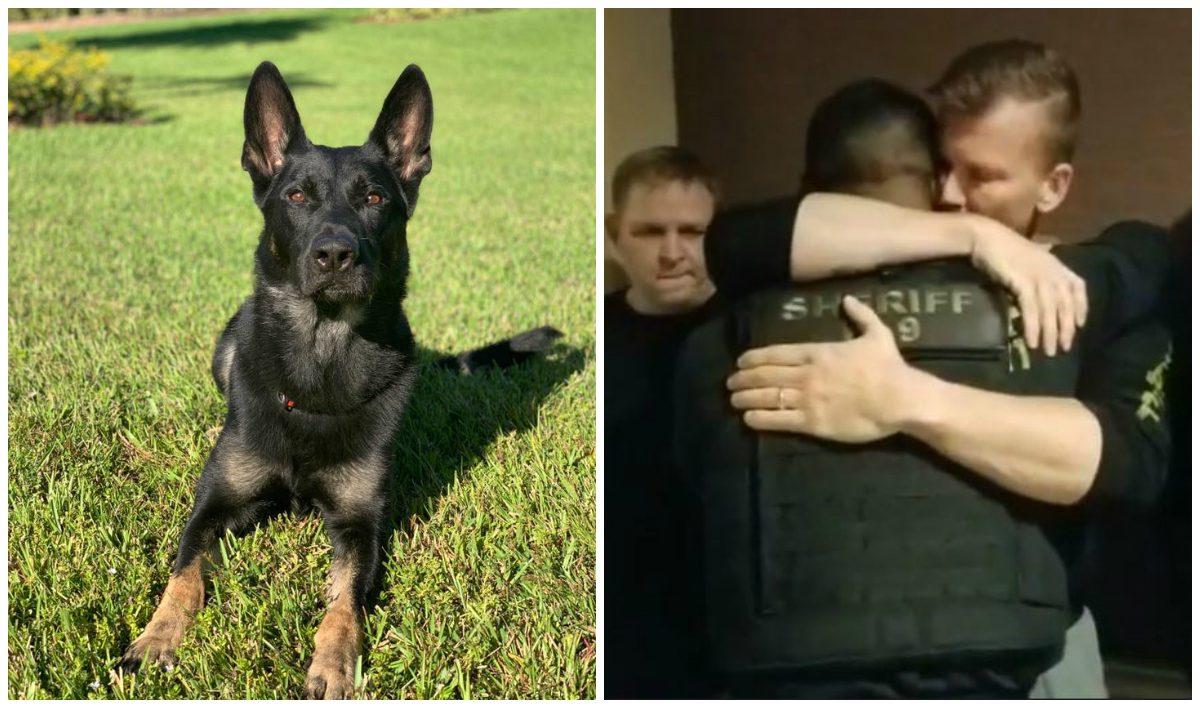 Cigo (L), the police K-9, who died in the Florida mall shooting on Dec. 24, 2018 and the police officer (R) who mourned the loss of Cigo. (Palm Beach County Sheriff's Office)