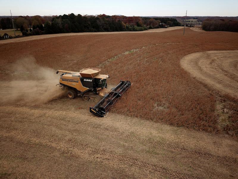 Farmer Lucas Richard harvests a crop of soybeans at a farm in Hickory, N.C., on Nov. 29, 2018. (Charles Mostoller/Reuters)