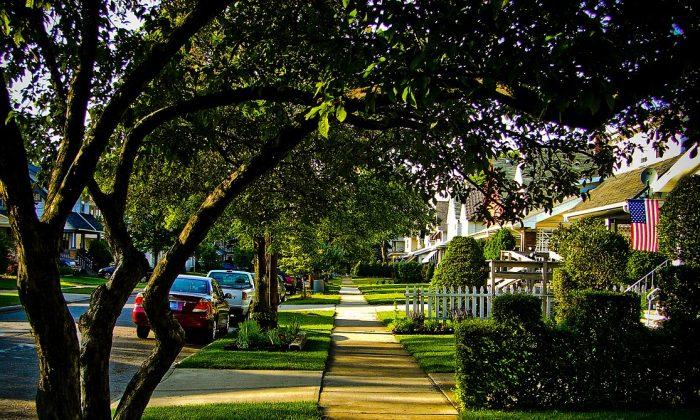 Leafy Green Neighborhoods Tied to Better Heart Health