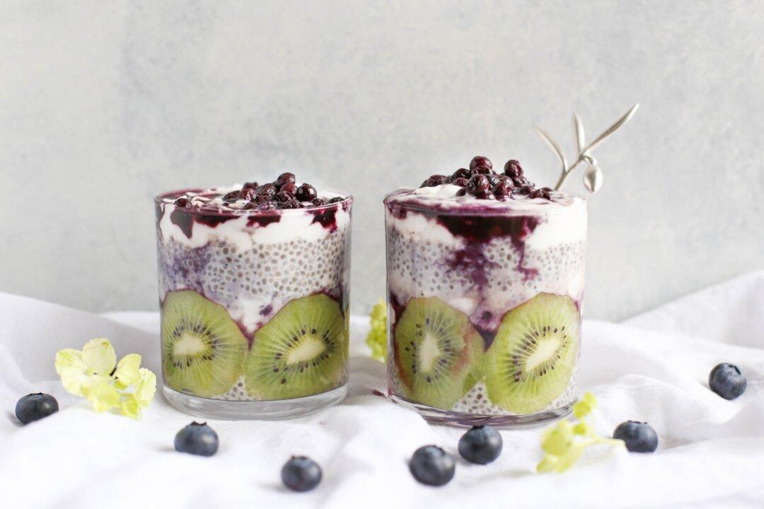 Probiotics 101: A Simple Beginner’s Guide