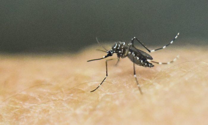 Louisiana Police Zika Meth Warning Goes Viral