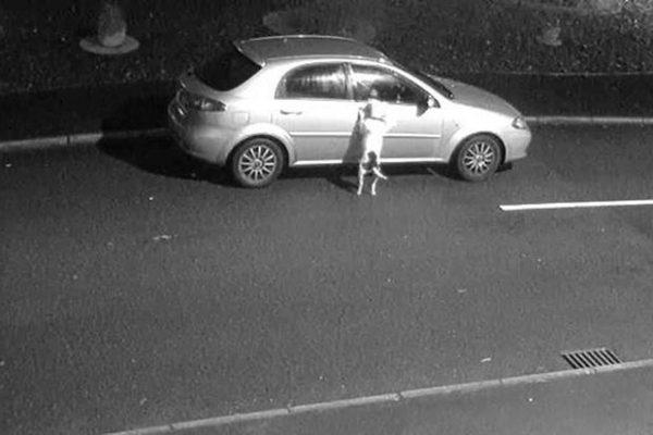 An unidentified dog owner is about to drive away and leave Snoop behind in Stoke-on-Trent, UK, on Dec. 17, 2018. (RSPCA)
