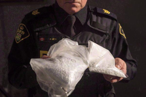 An Ontario Provincial Police officer displays bags containing fentanyl in Vaughan, Ont., on Feb. 23, 2017. (The Canadian Press/Chris Young)