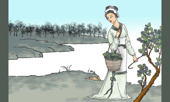 The Leaf-Picking Girl Who Remembered Her Past Lives