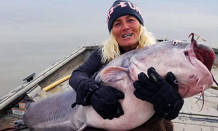 Tennessee Woman Lands Enormous ‘River Monster’ Catfish