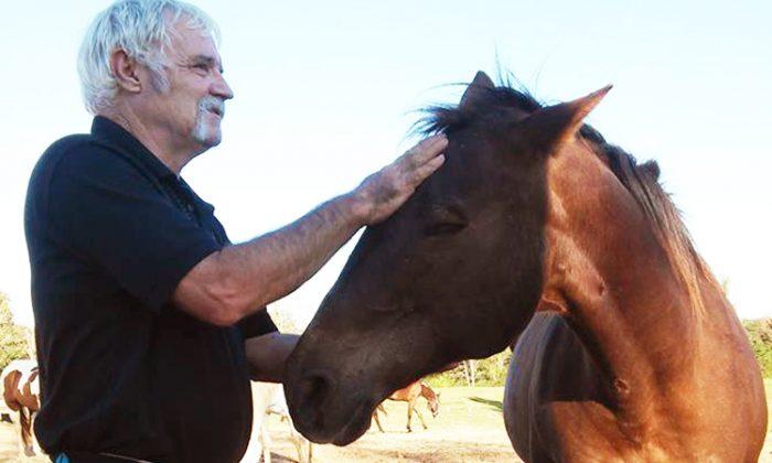 Vietnam Veteran With PTSD Finds Peace After Volunteering at Blind Horse Rescue