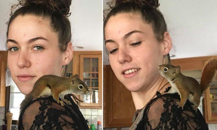 Grateful Squirrel Returns to Say ‘Thank You’ to Woman Who Saved Him