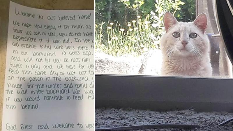 Family Moves Into New Home and Finds Unexpected Note From Old Homeowner to Care for Cat